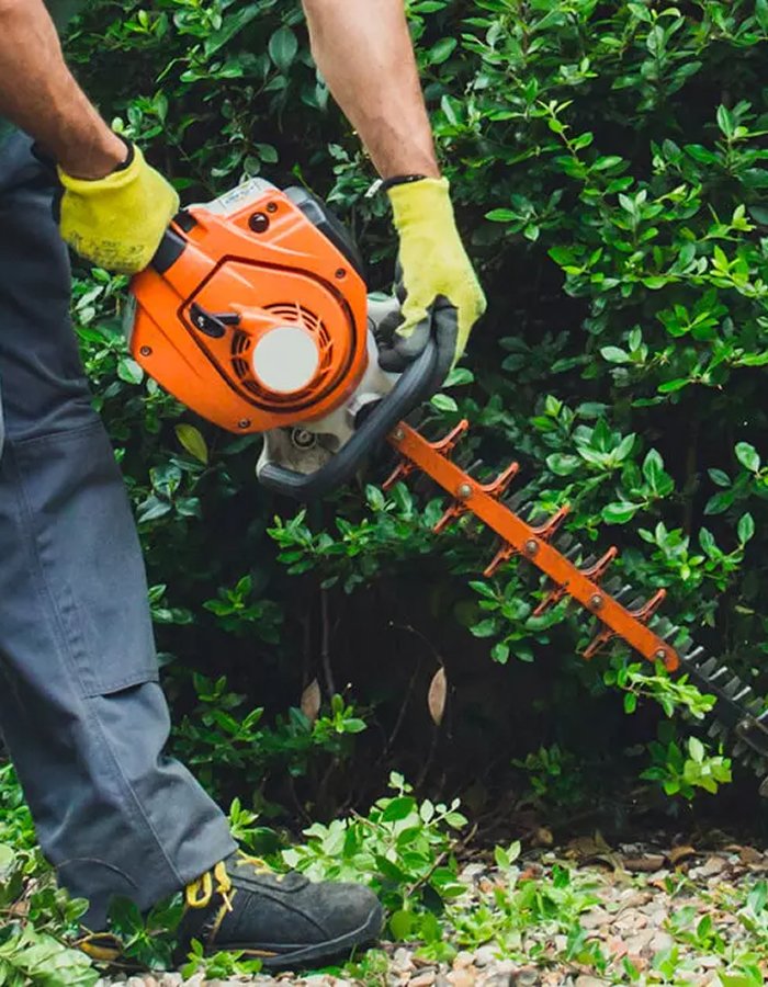 Garden Maintenance & Green Waste Collection