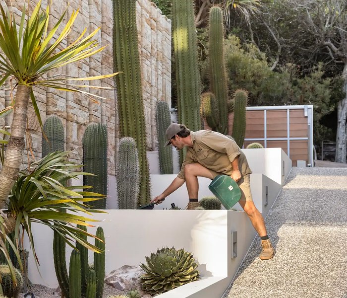 Garden Maintenance & Green Waste Collection