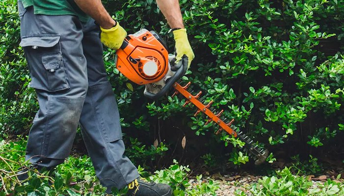Garden Maintenance & Green Waste Collection